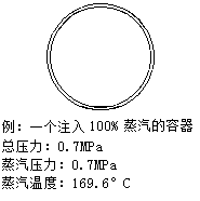 100%蒸汽